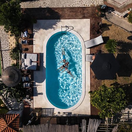 Joao Jungle Apartment Acafora Ngoại thất bức ảnh