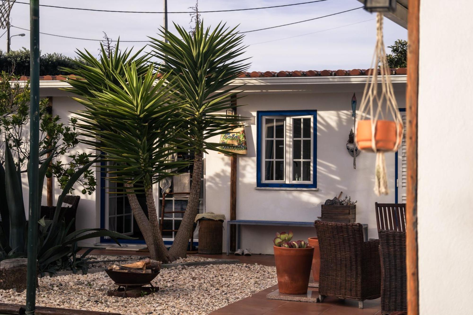 Joao Jungle Apartment Acafora Ngoại thất bức ảnh