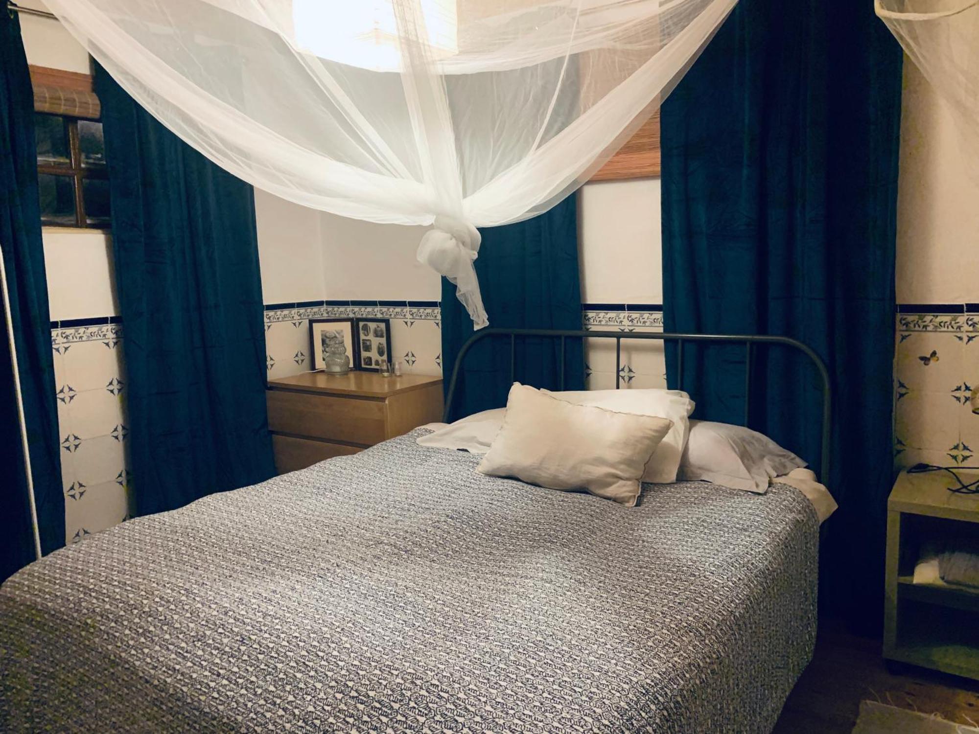 Joao Jungle Apartment Acafora Ngoại thất bức ảnh